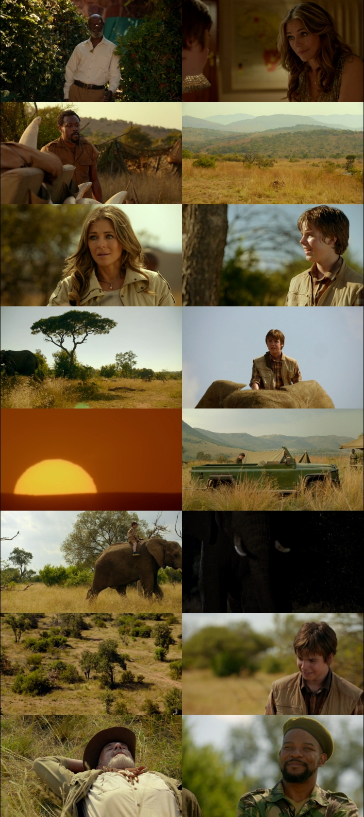 An Elephant’s Journey