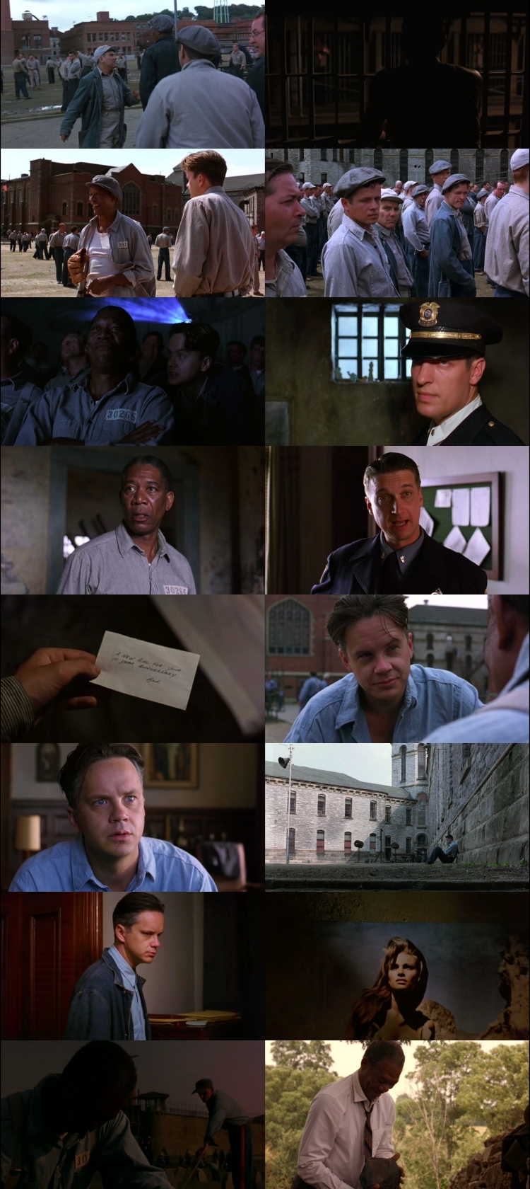 The Shawshank Redemption